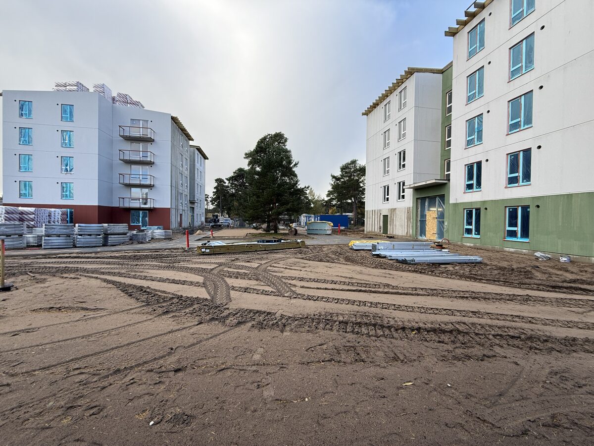 Saules_122.jpg